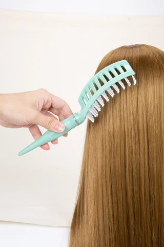 Hair Brush WS052